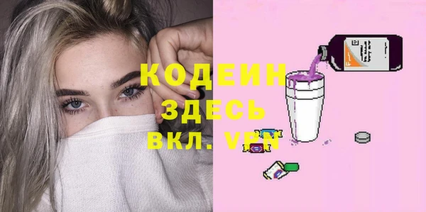 дживик Няндома