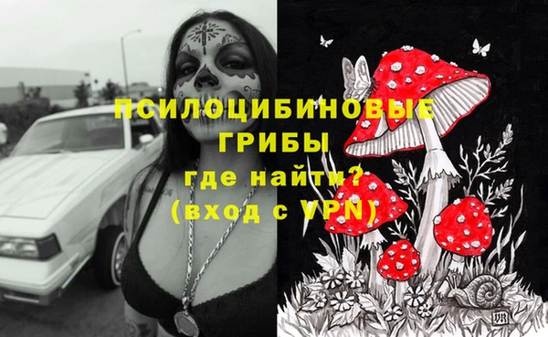 дживик Няндома