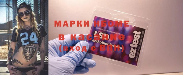 дживик Няндома