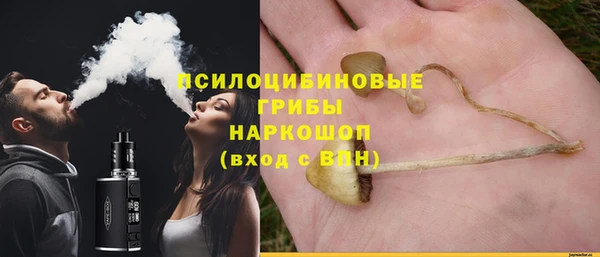 шишки Богданович