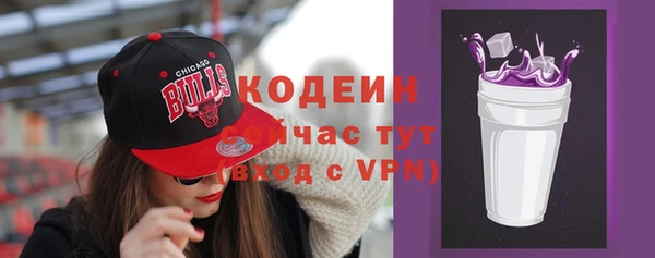 дживик Няндома
