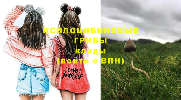 дживик Няндома