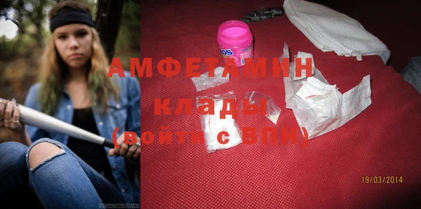 дживик Няндома