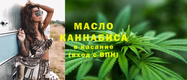 дживик Няндома