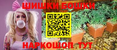гидропоника Гусиноозёрск