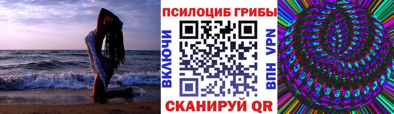 Псилоцибиновые грибы GOLDEN TEACHER как найти Тара