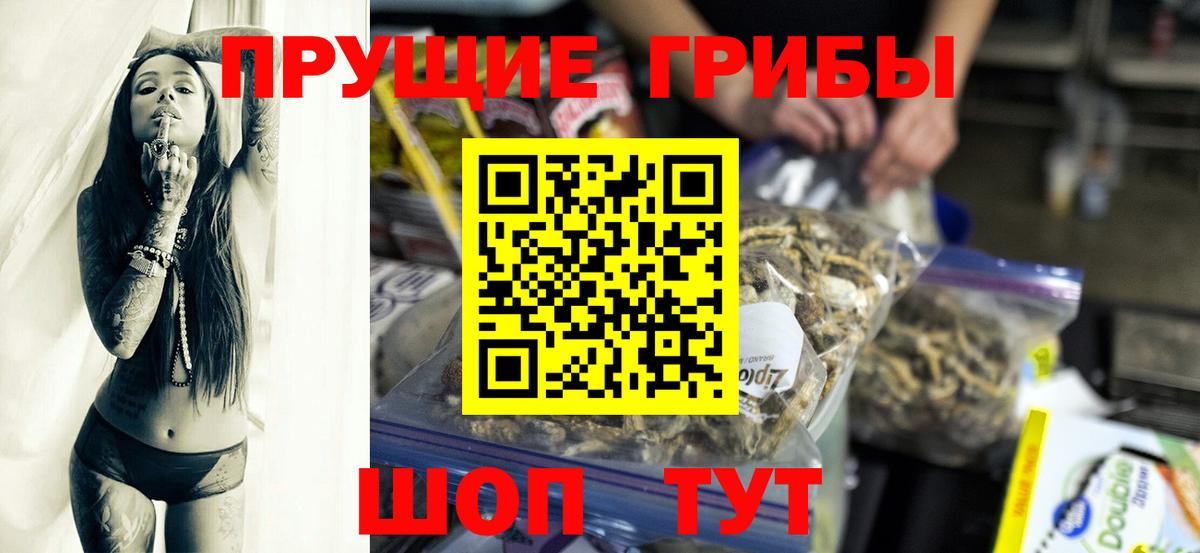 Псилоцибиновые грибы Psilocybine cubensis  Тара 