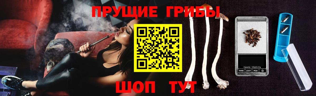 цены   Вход с VPN  Тара  Псилоцибиновые грибы Psilocybine cubensis 
